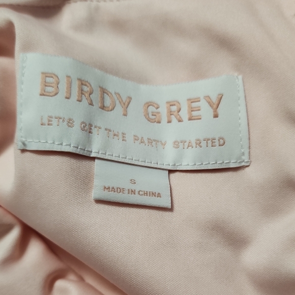 Birdy Grey Gwennie Dress
Chiffon Blush Pink - Picture 7 of 7